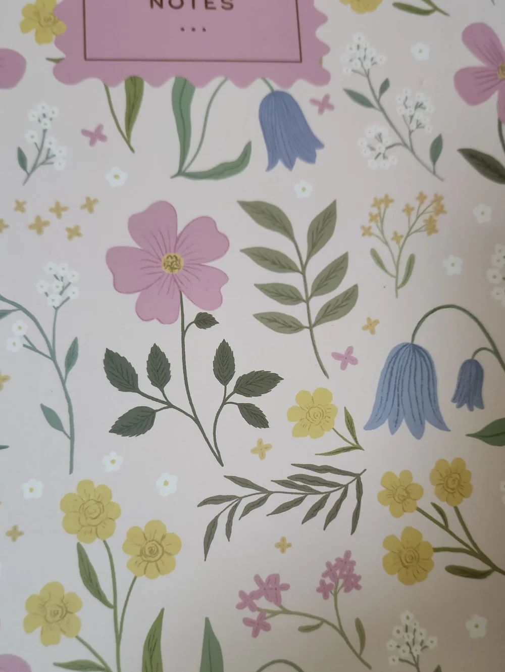 Brand New Fringe Pink Floral💐Spiral 📓 Notebook